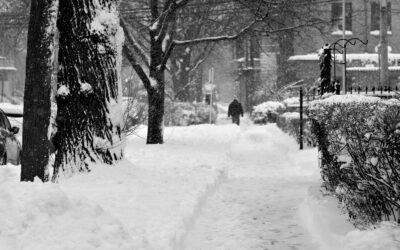 Cold-health alert action cards for health and social care providers
