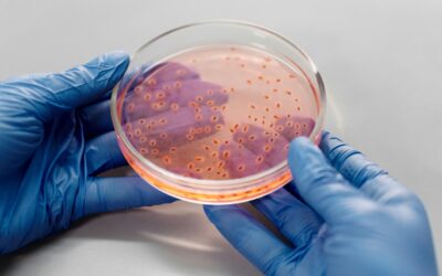 UKHSA Releases Watch List of 24 Diseases Posing Future Risk
